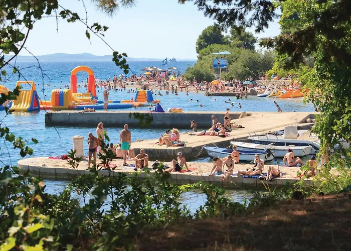 Rfmihanovica